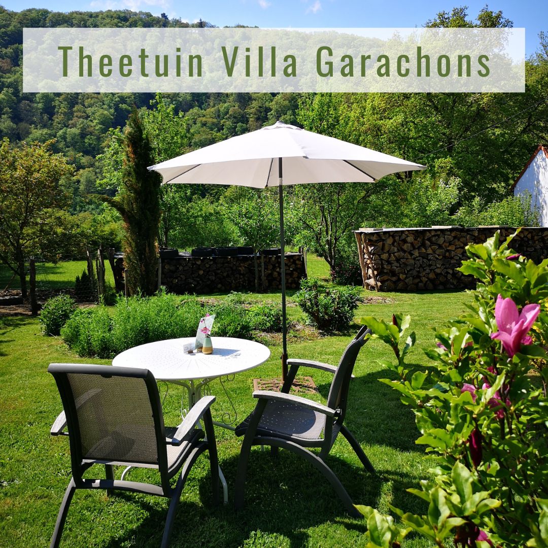 Theetuin Theetuin 'Villa Garachons' | Koks in Frankrijk