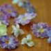 Eetbare bloemen viooltjes en primula's konfijten